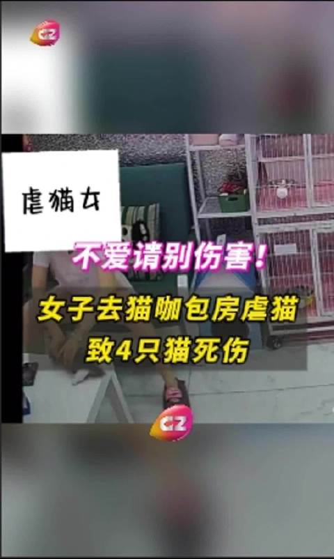 游戏专题 第68页