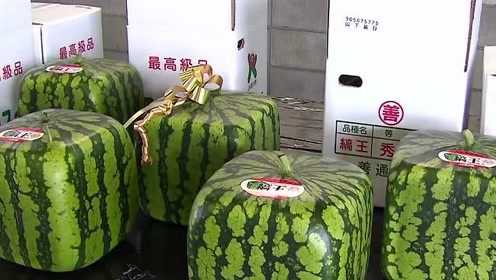港澳新闻 第20页